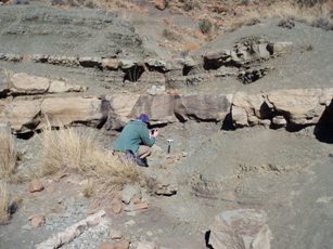 A geologist studies the exact line of the mass extinction at the end of the Permian. A few metres above her head are Triassic rocks, by whose time most life on Earth had disappeared. Photo: Michael Benton, University of Bristol.